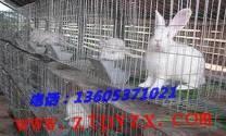 氣囊供應商/生產供應【船舶上排、下水用氣囊】價格-臨朐潤達水囊廠
